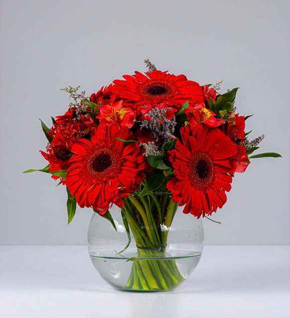 Pecera Gerbera Roja y Astromelia | Flores Bellas