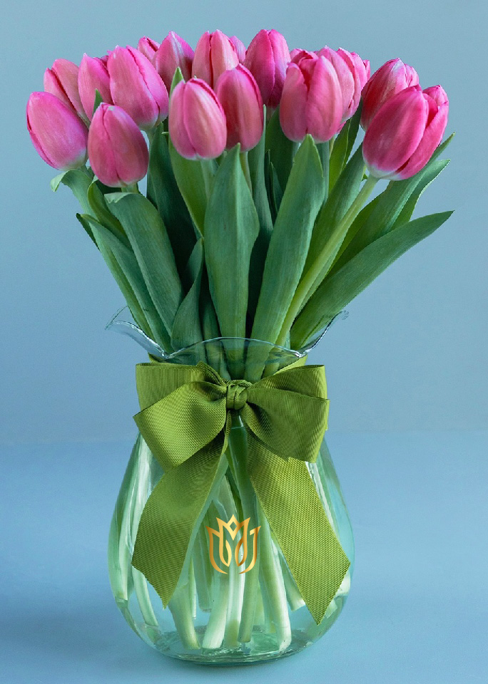 20 Tulipanes | Flores Bellas