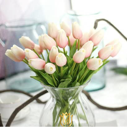 24 Tulipanes | Flores Bellas